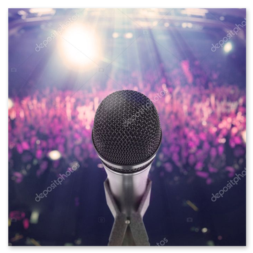 Sänger mit Publikum vor der Bühne